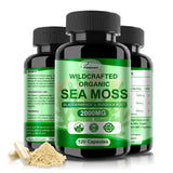 Fleamart Irish Sea Moss Capsules 120ct Raw Organic Sea Moss Wildcrafted Bladderwrack Burdock Root Capsules Super Food Immune System Digestive Health Sea Moss Pills
