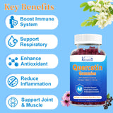 2 Pack Quercetin Gummies with Bromelain, Elderberry, Zinc & Vitamin C, 1200mg Organic Quercetin Supplement Gummies, Echinacea Immune Support for Adults & Kids, Mixed Berry Flavor-120Ct