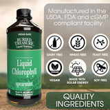 Buried Treasure Liquid Chlorophyll 100 mg Dietary Supplement, Energy Boost Immune Support Detox Intestinal Digestive Support Natural Body Deodorant Vegan Non-GMO Alcohol Free Spearmint Flavor,16 oz