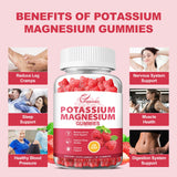 Potassium Magnesium Gummies Potassium Citrate 99mg Magnesium Citrate 250mg Magnesium Potassium Complex Supplement, Immune Support, Leg Cramps Muscle Health, 60 Raspberry Gummies 2 Pack