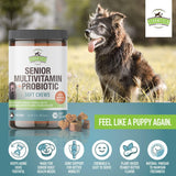 STRAWFIELD PETS 2-pack LOT Strawfield Senior dog Multivitamin + Probiotic 120 Soft Chews 12/2022