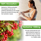 Berberine Supplement 1500mg, Organic Berberine Liquid Drops with Ceylon Cinnamon, Bitter Melon, Sugar-Free & Vegan Supplement Supports Immune System & Gastrointestinal Care - 4 FL Oz