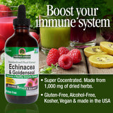 Nature's Answer Echinacea and Goldenseal | Supports Immune System | Non-GMO, Alcohol-Free, Gluten-Free & Kosher Certified 4oz Extract | Single Count