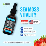 Ashwagandha & Turmeric Liquid Drops - Vitamin C, Sea Moss, Apple Cider Vinegar, Bladderwrack - Vegan Liquid Drops for Comprehensive Wellness Support & Vital Immunity (Strawberry Ginger Lemonade, 60mL)
