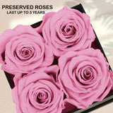 UFOREVER ROSES Preserved Roses in a Box Mothers Day Valentines Day Gifts for Her, Real Roses That Last a Year and More, Eternal Roses for Her, Christmas Day, Birthday, Anniversary Day (Small, Pink)