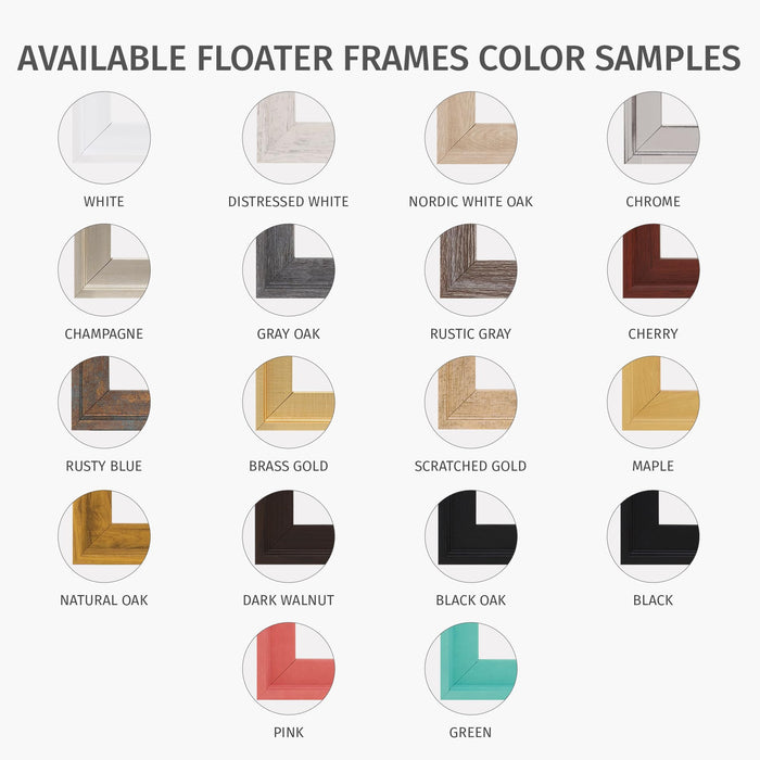Pixy Canvas Floater Frame 28x32 for 3/4 (0.75) inch Deep Canvas Paintings/Canvas Prints/Wood Canvas Panels/Wall Art/Wall Decor/Home Decor/Artwork (Champagne, 28 x 32 inch, Portrait)