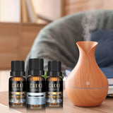 Winter Essential Oils for Diffusers for Home, CAKKI Premium Grade Fragrance Oils Set, 6 Winter Scents Natural Aromatherapy Oils, for Candles Making, for Soaps Making, for Humidifiers, 6x10ml