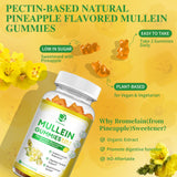 (2 Pack) 9 in 1 Mullein Gummies for Lung Cleanse, Extra Strength 10000 MG(10:1 Extract) Mullein Leaf Extract w/Quercetin, Bromelain, Elderberry & Marshmallow for Respiratory, Immune, Vegan,120 Count