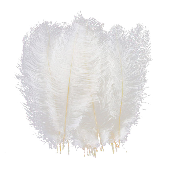 AWAYTR 10-12 inch (25-30cm) Natural Ostrich Feathers for Wedding Centerpieces Home Decoration,Flower Arrangement,DIY Christmas Decorations (20pcs,White)