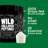 Wild Collagen Peptides Powder | Unflavored Ancient Diet Protein Powder for Men & Women | Non-GMO, Keto & Paleo Friendly Supplements | (16 oz)