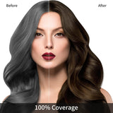 KINGMING Brown Hair Dye Shampoo 3 in 1 for Hair, Natural Hair Dye for Hair Coverage, Hair Color Shampoo for Color Hair, Champu Para Canas for Women Men 500ml【Brown】