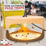 Flea Trap, Sticky Flea Traps for Inside Your Home, Odorless Non-Toxic Natural Flea Killer Trap Pad Bed Bug Trap Light Bulb Pest Control for Home House Inside, Safe for Children Pet Dog Cat(1 Pack)