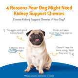 Pet Wellbeing Kidney Support Chewies for Dogs - Vet-Formulated - Supports Healthy Kidney (Renal) Function in Dogs - 90 Soft Chews