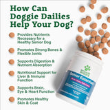 Doggie Dailies Senior Essentials Multivitamin for Dogs Soft Chews | Advanced Dog Multivitamin | Nutritional Support for Joints, Skin & Coat, Digestion, and the Immune System | Bacon Flavor | 120 Count