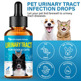 Pet UTI Treatment Drops, Cat UTI Medicine, Dog UTI Treatment for Renal Health, Natural Formula to Prevent Kidney Stones & Incontinence, Support Bladder Control for Dogs & Cats 60ml