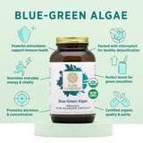 PURE SYNERGY Blue-Green Algae Powder | Green Superfood Powder with Chlorophyll | Organic AFA Blue Green Algae Supplement | Supports Energy, Mental Clarity, and Detoxification (3.2 oz. Powder)