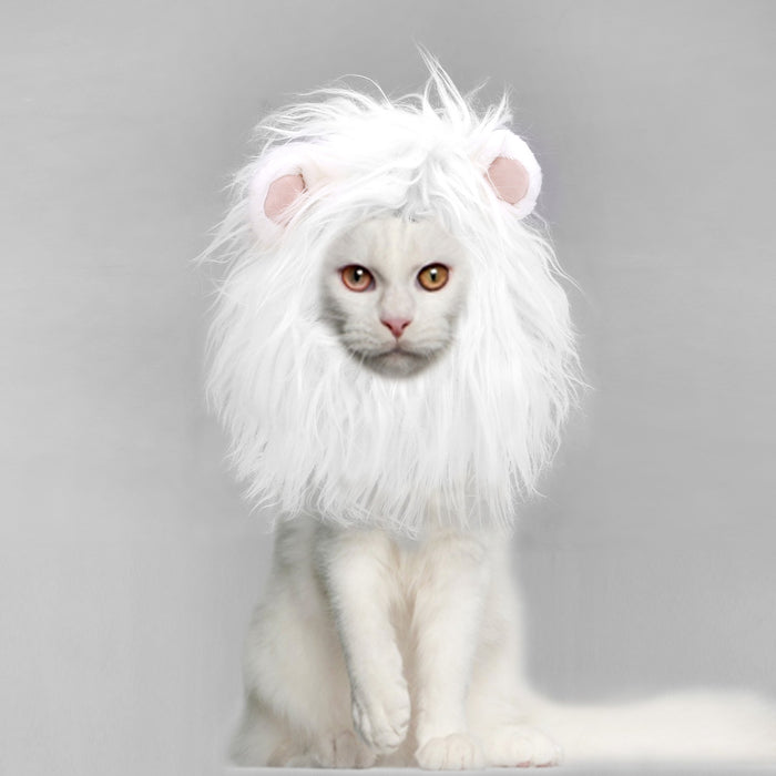 Onmygogo Lion Mane Wig for Cats, Funny Pet Cat Costumes for Halloween Christmas, Furry Pet Clothing Accessories (Size S, White)