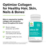 Terry Naturally Silica-20 - 90 Tablets - Supports Healthy Hair, Skin, Nails & Bone Density - Vegan, Non-GMO - 45 Servings