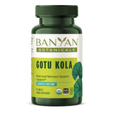 Banyan Botanicals Gotu Kola (Centella Asiatica) – Organic Adaptogen & Nootropic Brain Support Supplement for Healthy Memory & Concentration* – 90 Tablets – Fairly Traded Sustainably Sourced Vegan