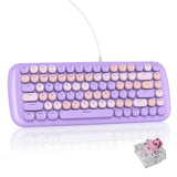 iRoboosta 75% Typewriter Style Mechanical Gaming Keyboard, White Backlit Light Up Keyboard with Pink Switch, Retro Round Punk Keycap 84 Keys Cute Wired Purple Keyboard (84 Purple)