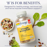 SOLARAY Vitamin B Complex 100 mg, Healthy Energy Supplement, Red Blood Cell Formation, Nerve & Immune Support, Super B Complex Vitamins, Folic Acid, Vitamin B6, B12, Biotin, Vegan, 275 VegCaps