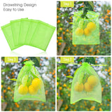 100 Pcs Fruit Protection Bags for Fruit Trees 6 x 8 Inch, Green Mesh Fruit Netting Bag, Fruit Cover Net Bags with Drawstring for Grape Apple Mango Peach Protect from Insect Birds Squirrels