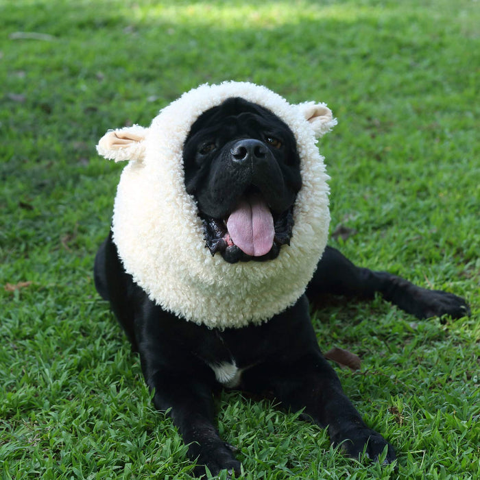 Onmygogo Funny Sheep Pet Costumes for Dog, Cute Furry Pet Wig for Halloween Christmas, Pet Clothing Accessories (Sheep, Size L)