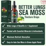 Betterbrand BetterLungs Sea Moss Tincture Drops - Powerful Absorption for Lung Health, Digestive, Joint & Thyroid Support - Irish Sea Moss, Spirulina, Bladderwrack & Burdock Root (30 Day Supply)