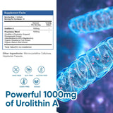 VIVALIFER Naturals Urolithin A Supplement 1000mg, 90 Softgels Powerful Antioxidants, Healthy Aging and Mitochondrial Support, Cell Repair