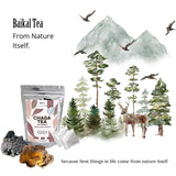 Chaga Tea - 100% Wild Chaga Mushrooms with Bergenia - 30 Unbleached Tea Bags - from Wild Siberian Lake - Hand-Picked by Baikal Tea