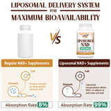 Liposomal NAD 500 mg Supplement, Advanced Formula for Cellular Support, 360 Servings