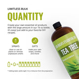 LAB BULKS ESSENTIAL OIL - Tea Tree Oil 16 Ounce Bottle for Diffuser, Home Care, Candles, Aromatherapy