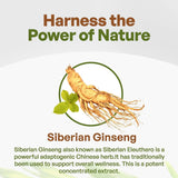 Go Nutra Siberian Ginseng Powder 4:1 Extract 4X Times Stronger Eleuthero Root Extract Non-GMO 4oz