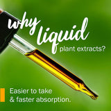 Herb Pharm Kids Certified-Organic Alcohol-Free Echinacea Glycerite Liquid Extract, 1 Ounce