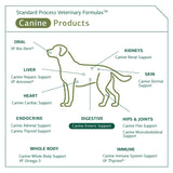 Standard Process - Canine Enteric Support - Digestive System Support for Dogs - 30 Grams