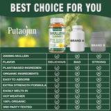 Putaojun 2 Pack Mullein Gummies - 2000mg Mullein Leaf Extract with Bromelain, Quercetin, Ashwagandha - Support Lung Cleanse & Respiratory Function for Healthy Breathing, Vegan- 120 Count