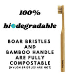 Gaia Guy Natural Bristle Bamboo Toothbrush (NO Nylon - Boar Hair ONLY) - Totally Compostable & Biodegradable Boar Bristle and Bamboo Toothbrushes - Zero Waste