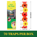 Fly Window Trap Fly Paper Sticky Strips Fly Trap Clear Tape Window Fly Traps Fly Catcher Clear Windows Trap for House Fruit Fly Sticky Traps Indoor & Outdoor Non Toxic (70PCS)