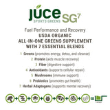 TERRA KAI ORGANICS SG7 Sports Greens Organic Green Juice Powder | Mushrooms | Mixed Berry Flavor | 30 Servings