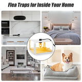 2 Pcs Flea Traps for Inside Your Home with Light, Pest Control for Insect Gnat, Electric Flea Light Trap with 4 Sticky Plate & 6 Bulb & 2 Electric Wire for Indoor House, Safety for People & Pet, White