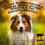 Pet Honesty Allergy Itch Relief for Dogs - Dog Allergy Relief Immunity Supplement - Dog Allergy Chews, Probiotics for Dogs, Seasonal Allergies, Skin and Coat Supplement - Peanut Butter (90ct)