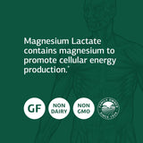 Magnesium Lactate Supplement – 90 Capsules – Essential Mineral Support