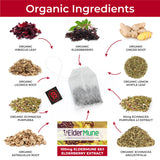 CogniTea Herbal Immunity Tea - Immune System Booster - 100mg High- Potency Elderberry, 50mg Echinacea, Lemon, & Ginger Organic Herbal Tea Bags - Caffeine Free Immunity Boost