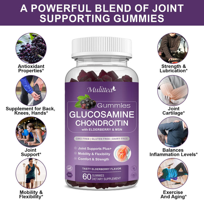 (3 Pack) Glucosamine Chondroitin Gummies with MSM Elderberry & Calcium- Extra Strength Joint Support Supplement for Relief. Antioxidant Immune Support for Adults, Men & Women