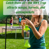 RESCUE! Non-Toxic Wasp, Hornet, Yellowjacket Trap (WHY Trap) Attractant Refill - 2 Week Refill - 12 Pack