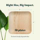 Chic Leaf Palm Leaf 100% Compostable & Disposable 7 Inch Square Plates- Leak-Proof Dinnerware Set- 50 Microwave & Oven Safe Bamboo Like Appetizer & Dessert Plates, Better than Paper & Plastic Plates