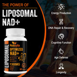 Rossylla Liposomal NAD Supplement – 1300 mg per Serving for General Wellness, High Absorption, 480 Count, Supports Cellular Energy