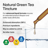 BIO KRAUTER Green Tea Extract Tincture - Organic Green Tea Supplements with EGCG - Potent Antioxidant Source - Immune Support Supplement - Alcohol and Sugar Free - Vegan Drops 4 Fl.Oz.