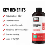 FORCE FACTOR Chlorophyll Liquid Body Deodorizing Supplement, Freshens Breath and Body Naturally, Made with No Artificial Sweeteners or Colors, Non-GMO, Natural Mint Flavor, 16 oz.