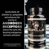 Gorilla Mode AR Carnitine 750mg Capsules – Androgen Receptor Upregulator/Boosts Cellular Energy, Upregulates Androgen Receptor Density/Shuttles Fatty Acids (120 Capsules)